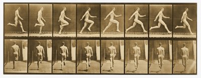 「動物の移動」シリーズ、1887年頃の画像 作： Eadweard Muybridge